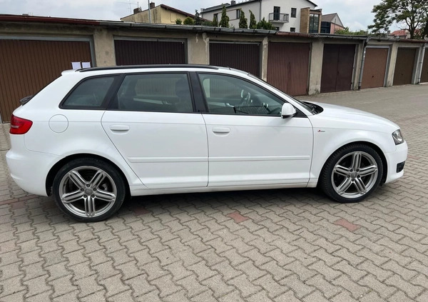 Audi A3 cena 33800 przebieg: 299000, rok produkcji 2010 z Krotoszyn małe 172